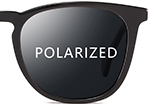 Polarized