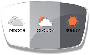 Photochromic (Grey)