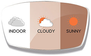 Photochromic (Brown)