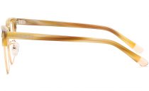 Browline acetate eyeglasses side 3001