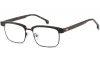 tortoiseshell