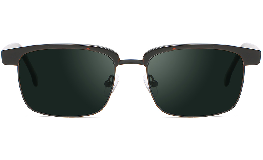 Browline polarized sunglasses front 17695