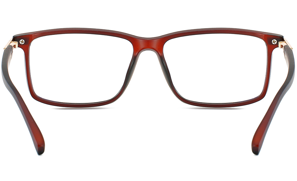 brown eyeglasses back 95862