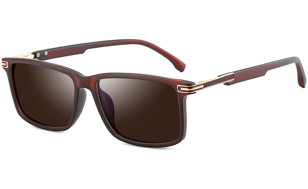 brown sunglasses 95862