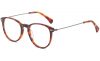 tortoiseshell