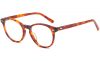 tortoiseshell