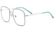 pure-oversized-titanium-eyeglasses-18520