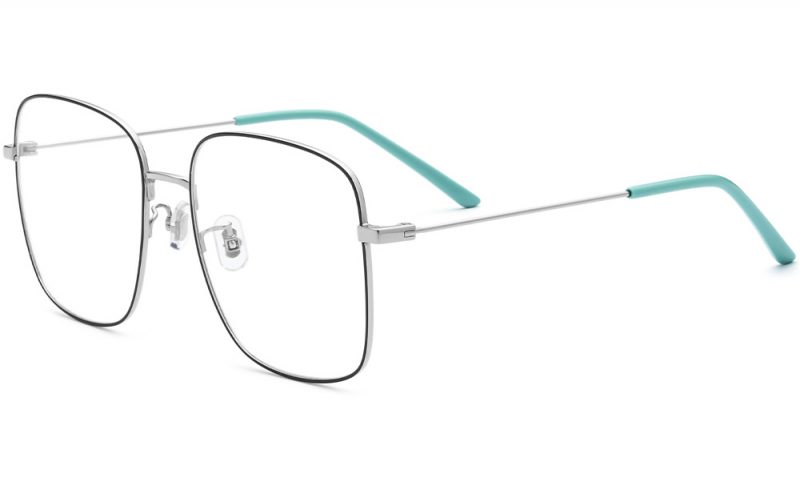 pure-oversized-titanium-eyeglasses-18520
