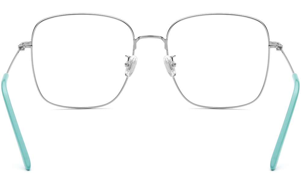 pure-oversized-titanium-eyeglasses-back-18520
