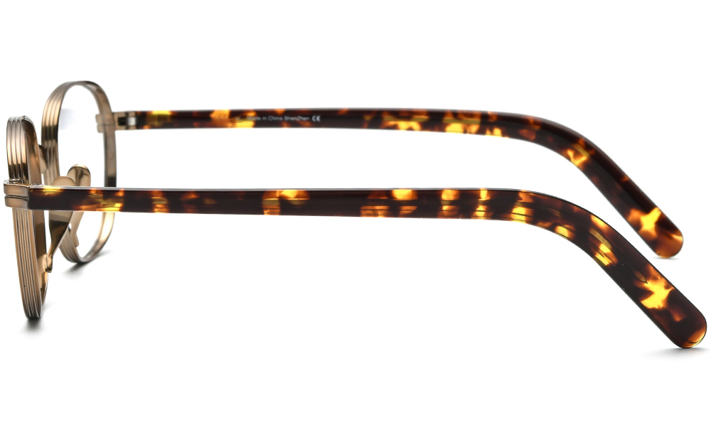 Retro-titanium-glasses-side-185653
