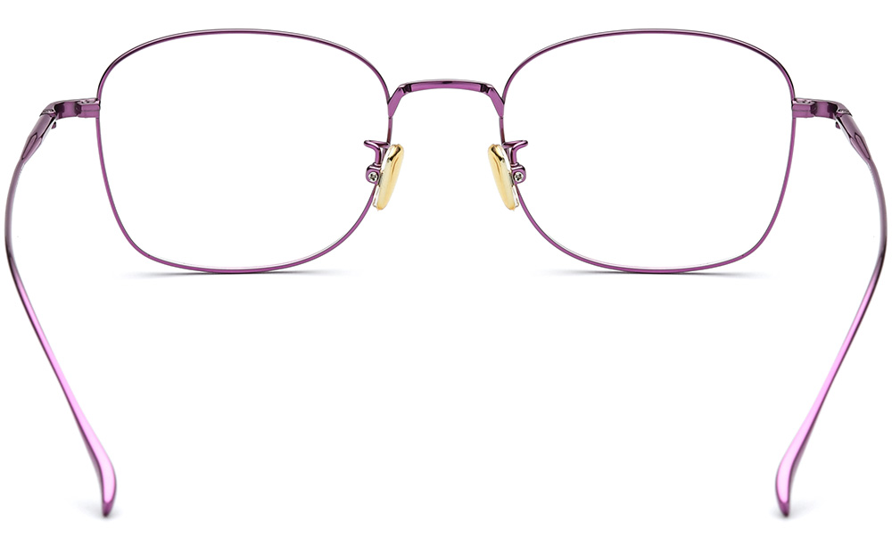 titanium-eyeglasses-back-185652