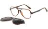 tortoiseshell-1